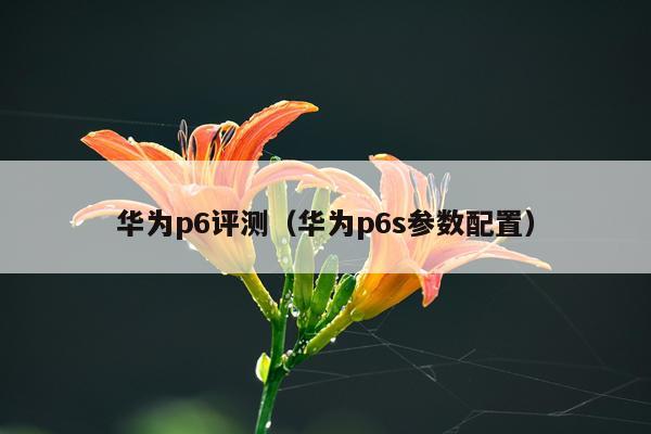 华为p6评测（华为p6s参数配置）