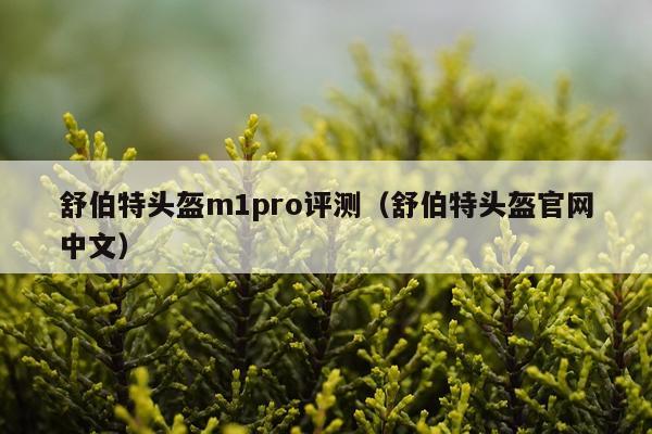 舒伯特头盔m1pro评测（舒伯特头盔官网中文）