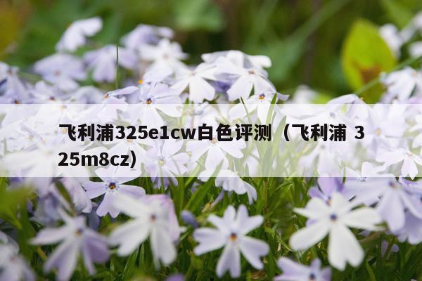 飞利浦325e1cw白色评测（飞利浦 325m8cz）