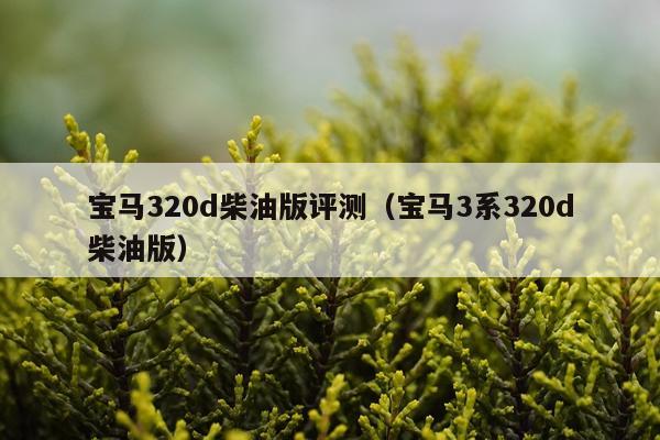 宝马320d柴油版评测（宝马3系320d柴油版）