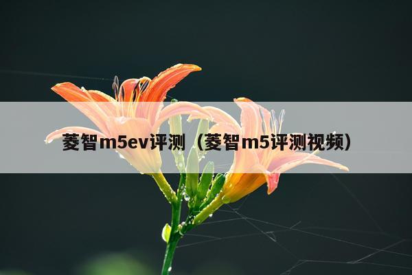 菱智m5ev评测（菱智m5评测视频）