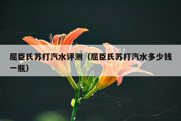 屈臣氏苏打汽水评测（屈臣氏苏打汽水多少钱一瓶）