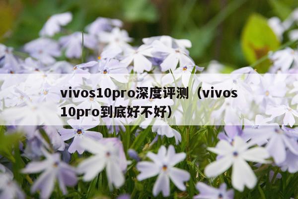 vivos10pro深度评测（vivos10pro到底好不好）