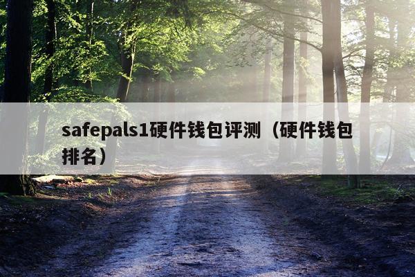 safepals1硬件钱包评测（硬件钱包排名）