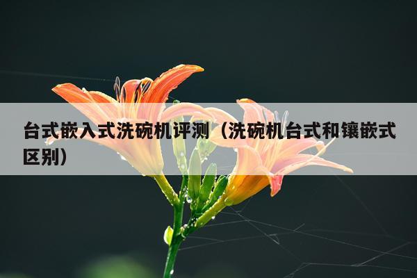台式嵌入式洗碗机评测（洗碗机台式和镶嵌式区别）